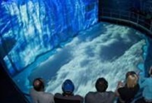 Glacier Exploration : Multimedia Show